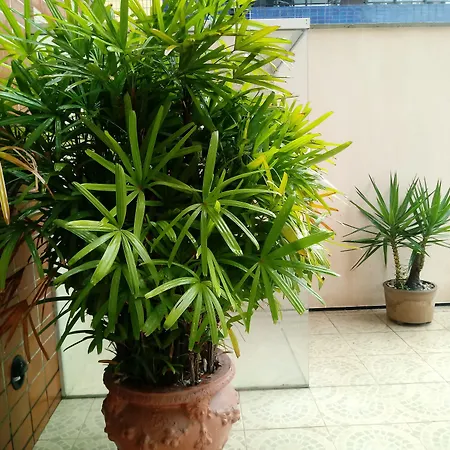 Spazzio Hotel 4*