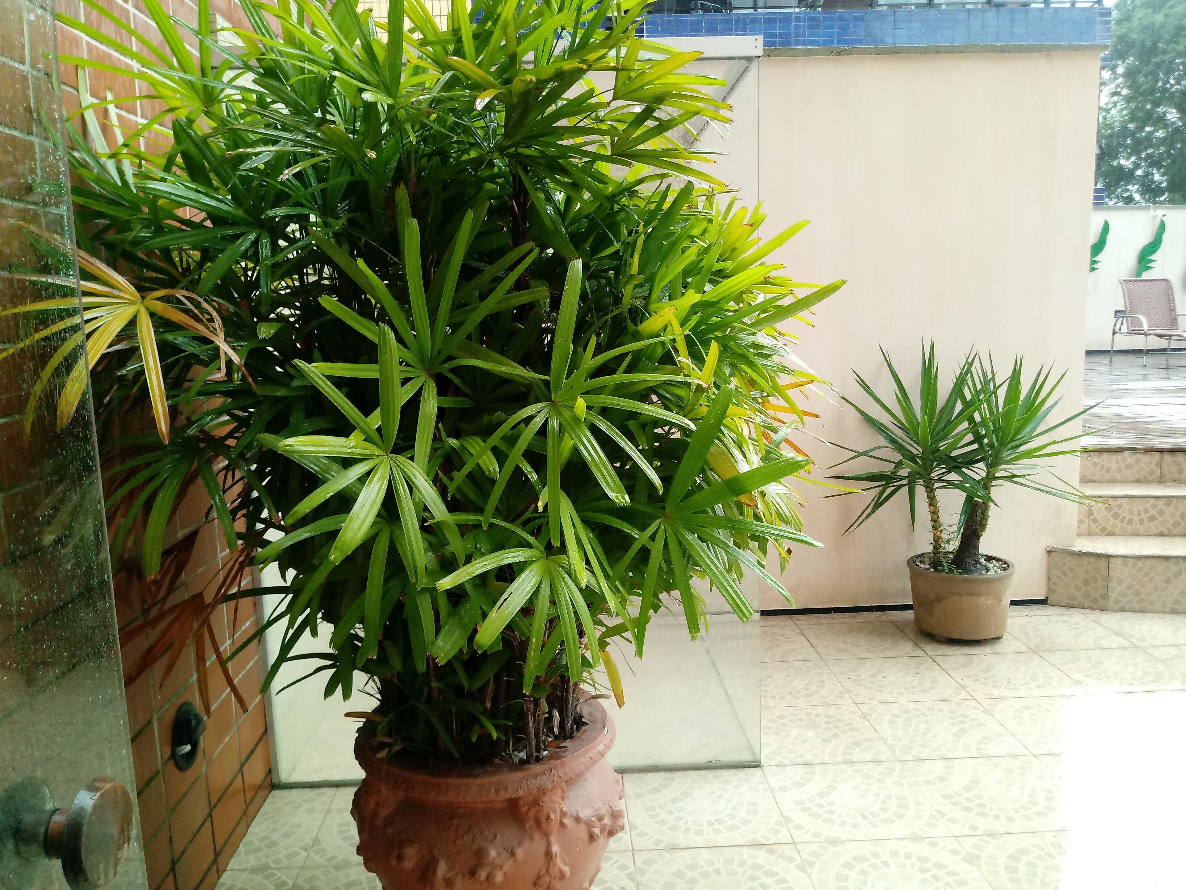 Spazzio Hotel 4*